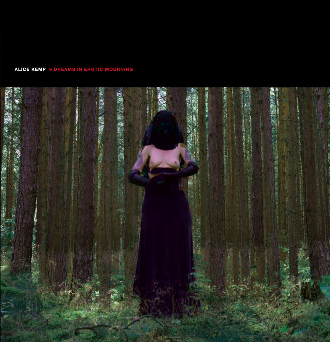 9 Dreams in Erotic Mourning